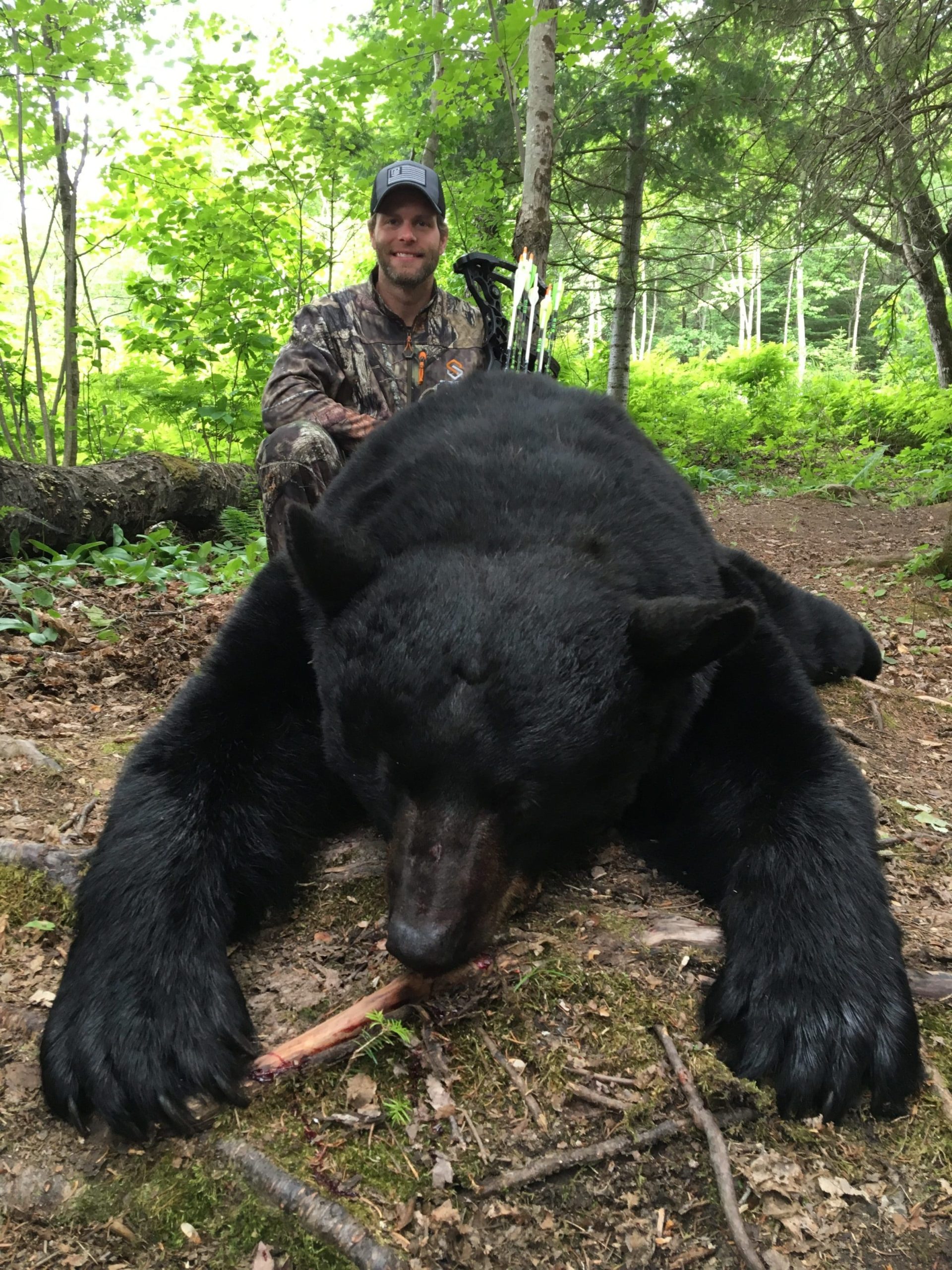 New Brunswick Bear Hunts