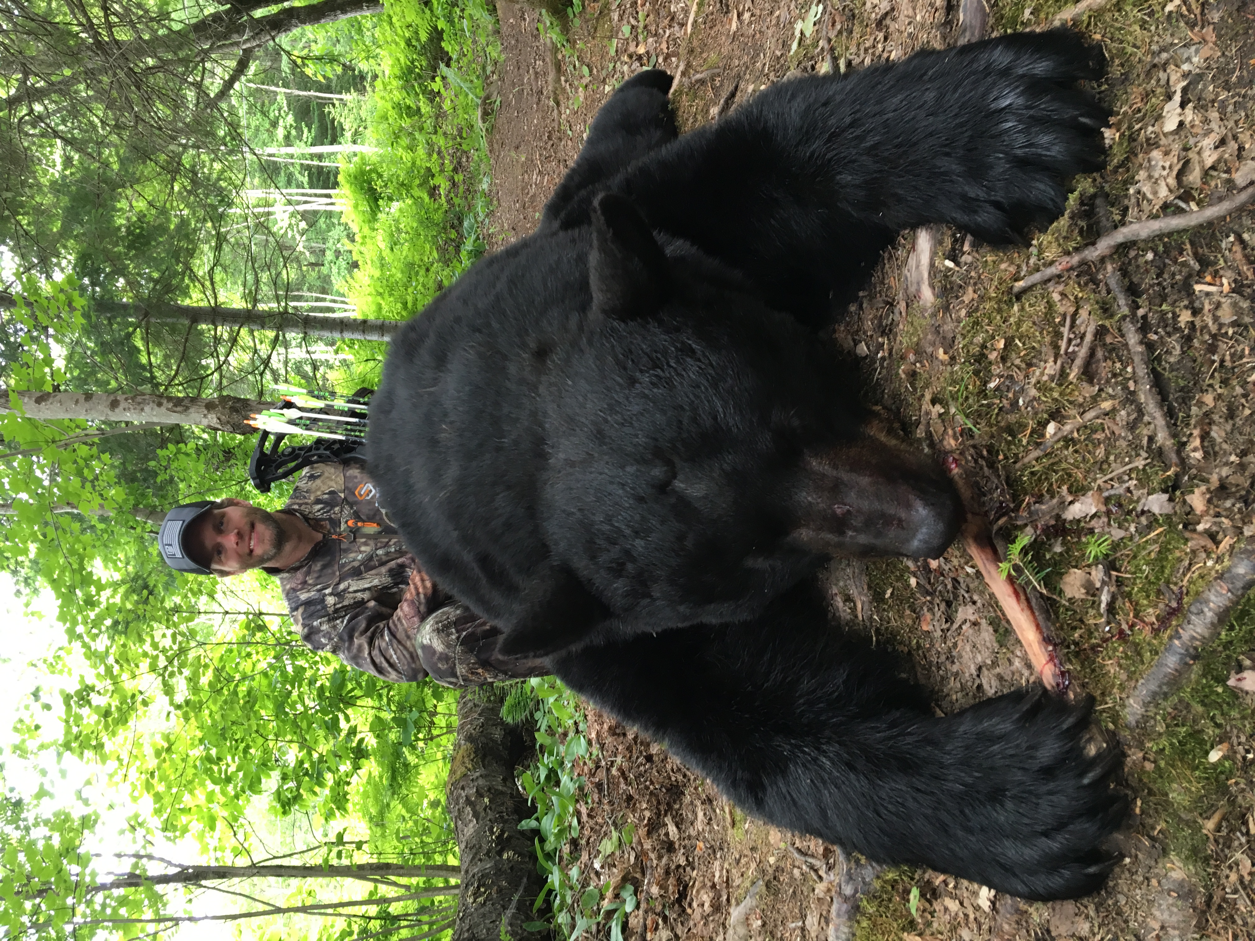 New Brunswick Bear Hunts